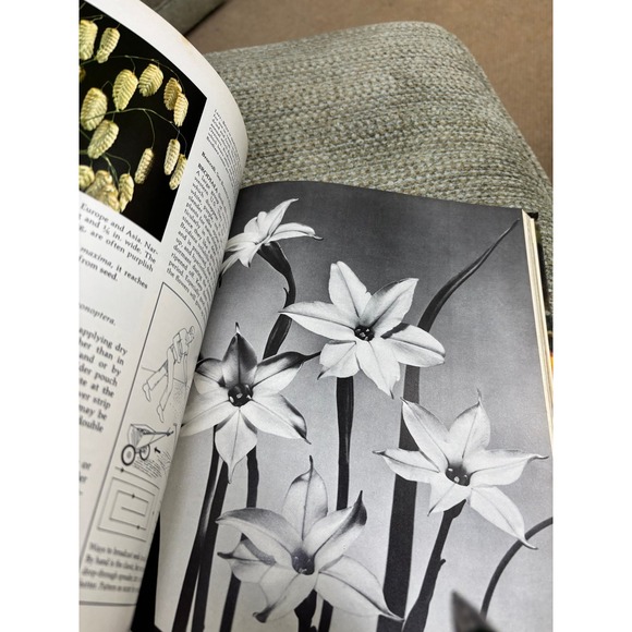 Good Housekeeping Illustrated Encyclopedia of Gardening 3 - Picture 7 of 9